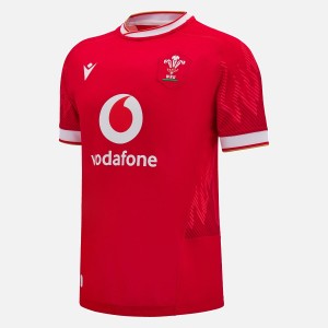 Wales 2024-2025 home jersey